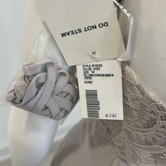 NWT SAMPLE SALE Dessy Oyster (light griege) size 10 Lace/Nu Georgette. PRISTINE - Picture 6 of 7